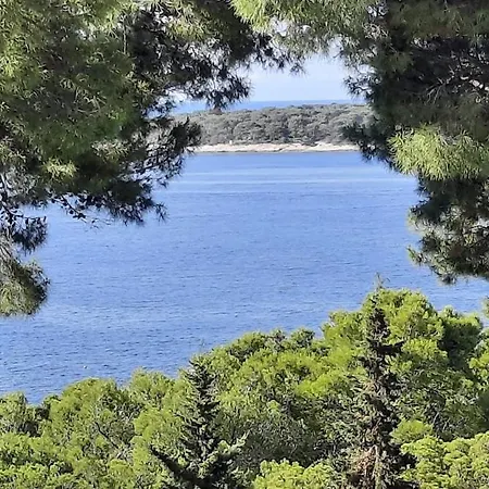 아파트 말리스코 흐바르